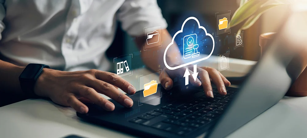 Go-to-Market & Partner Programmes